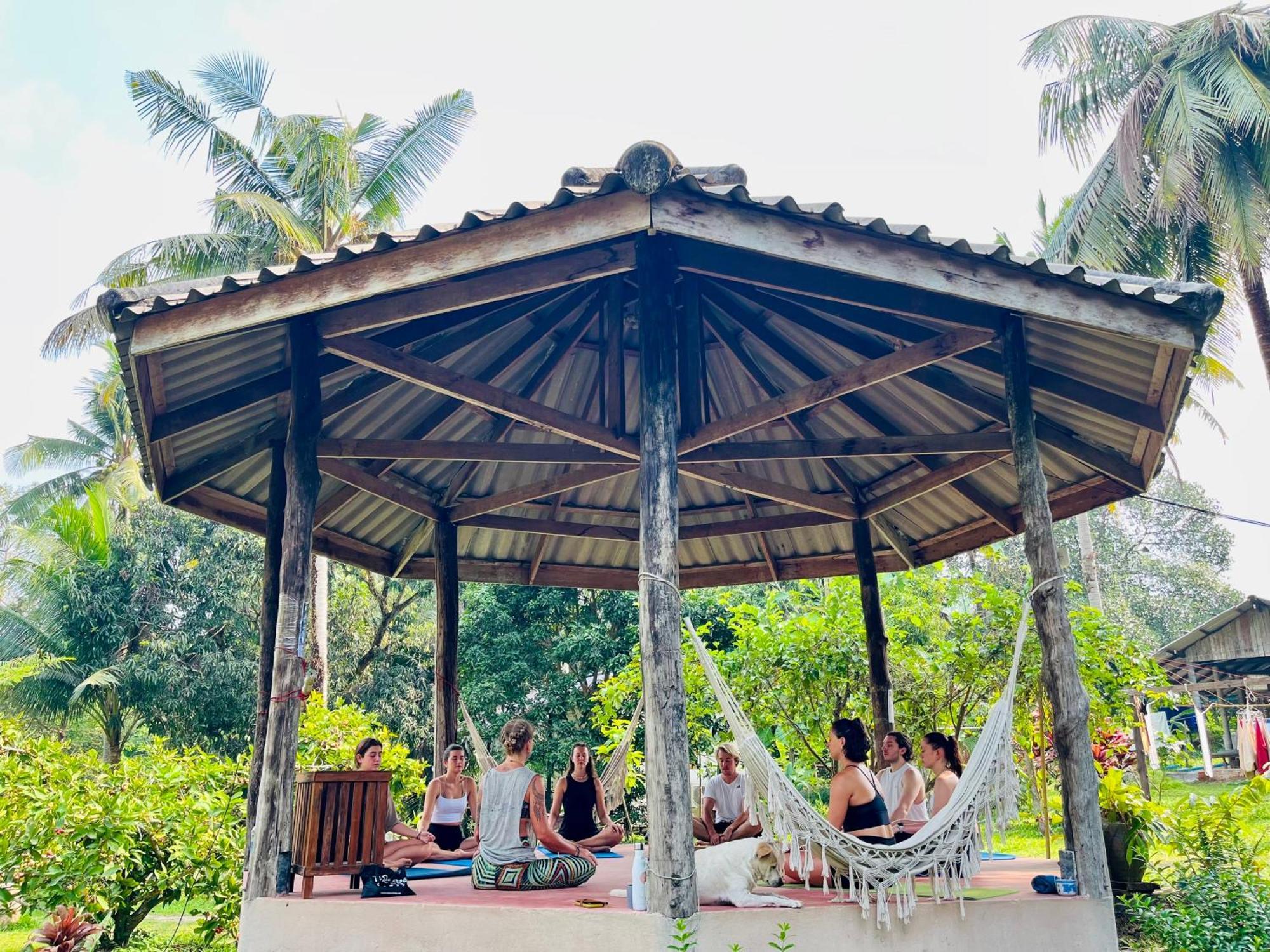 Eve House Koh Kood Vandrarhem Ko Kut Exteriör bild